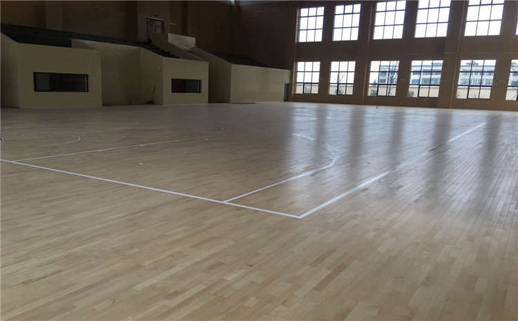 楓樺木實木運動地板圖片及價格