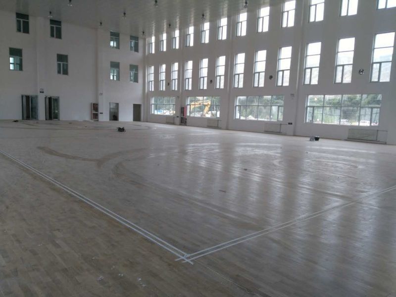 體育地板圖片