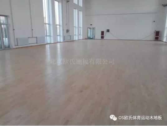 呼和浩特市呼鐵公安局警訓基地體育木地板案例