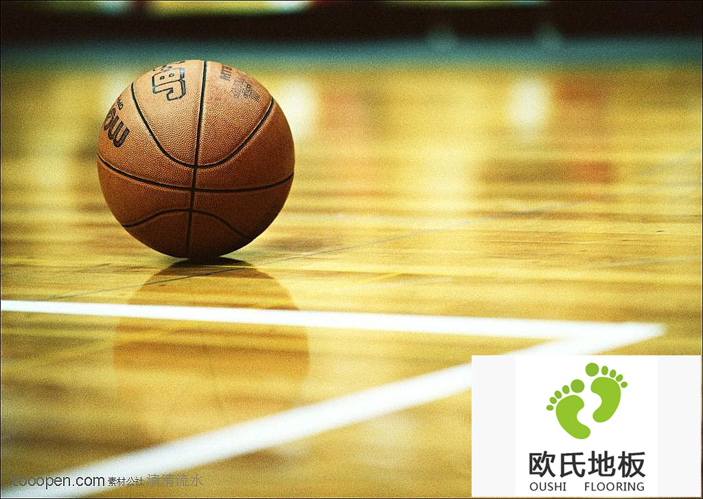 楓木和柞木倆種籃球?qū)Ｓ脤嵞镜匕宓奶攸c介紹
