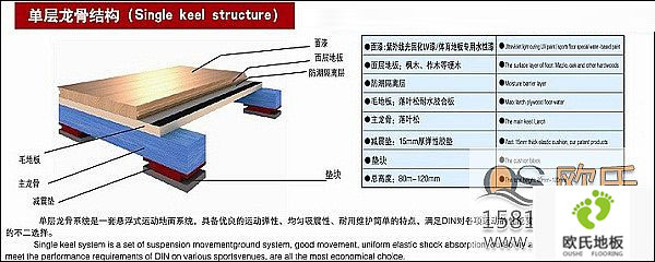體育實(shí)木地板的結(jié)構(gòu)層次