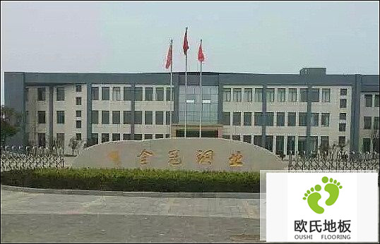 楓木運動木地板施工案例-安徽銅陵有色金冠銅業文體活動中心
