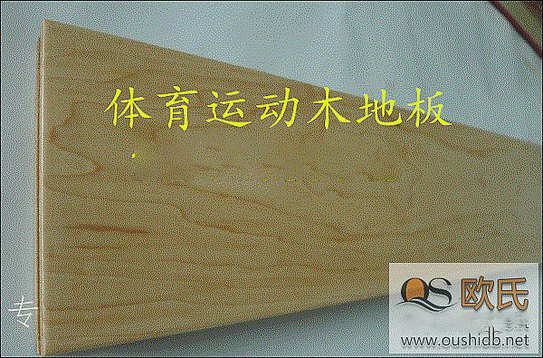 籃球木地板面面觀:藏匿在硬楓木地板背后的迷人細節