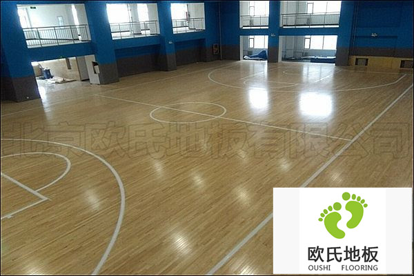 山西運動木地板：陽泉市城區行政審批服務中心 籃球館地板案例